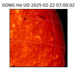 gong - 2025-02-22T07:00:02
