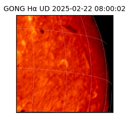 gong - 2025-02-22T08:00:02