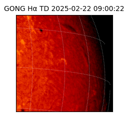 gong - 2025-02-22T09:00:22