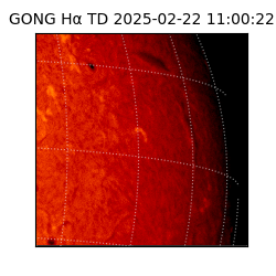 gong - 2025-02-22T11:00:22