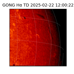 gong - 2025-02-22T12:00:22