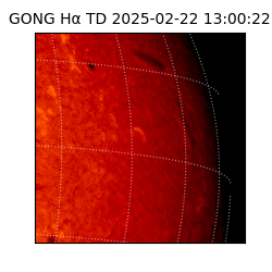 gong - 2025-02-22T13:00:22