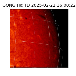 gong - 2025-02-22T16:00:22