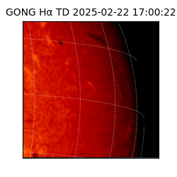 gong - 2025-02-22T17:00:22