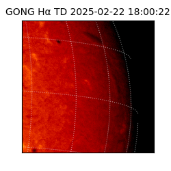 gong - 2025-02-22T18:00:22