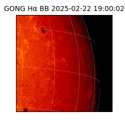 gong - 2025-02-22T19:00:02