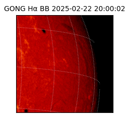 gong - 2025-02-22T20:00:02