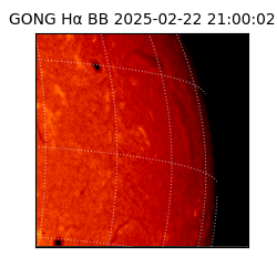gong - 2025-02-22T21:00:02