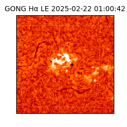 gong - 2025-02-22T01:00:42