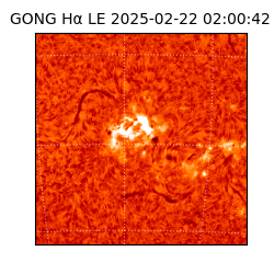 gong - 2025-02-22T02:00:42