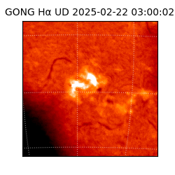 gong - 2025-02-22T03:00:02