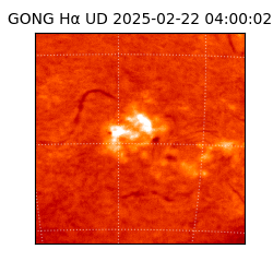 gong - 2025-02-22T04:00:02