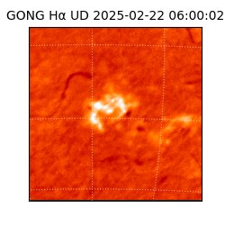 gong - 2025-02-22T06:00:02