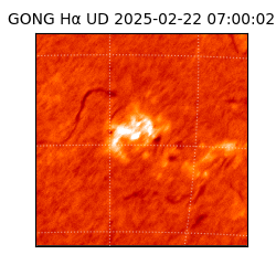 gong - 2025-02-22T07:00:02