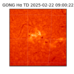 gong - 2025-02-22T09:00:22