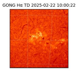 gong - 2025-02-22T10:00:22