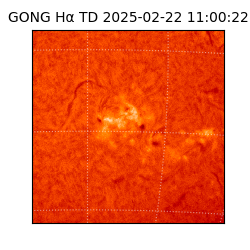 gong - 2025-02-22T11:00:22