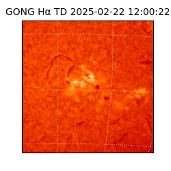 gong - 2025-02-22T12:00:22