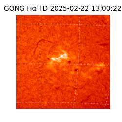 gong - 2025-02-22T13:00:22