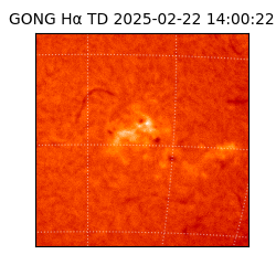 gong - 2025-02-22T14:00:22