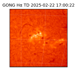 gong - 2025-02-22T17:00:22