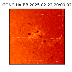 gong - 2025-02-22T20:00:02