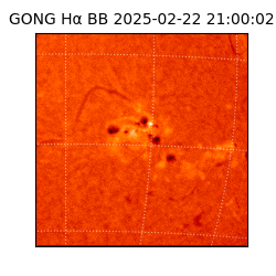 gong - 2025-02-22T21:00:02