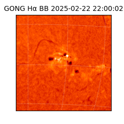 gong - 2025-02-22T22:00:02