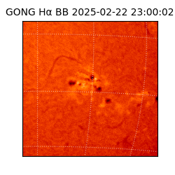 gong - 2025-02-22T23:00:02