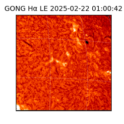 gong - 2025-02-22T01:00:42