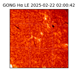 gong - 2025-02-22T02:00:42