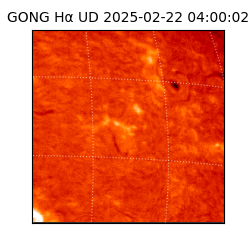 gong - 2025-02-22T04:00:02