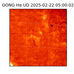 gong - 2025-02-22T05:00:02