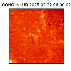 gong - 2025-02-22T06:00:02