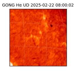 gong - 2025-02-22T08:00:02