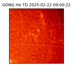 gong - 2025-02-22T09:00:22