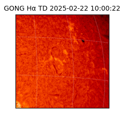 gong - 2025-02-22T10:00:22