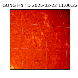 gong - 2025-02-22T11:00:22