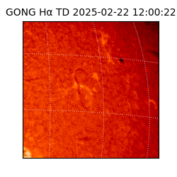 gong - 2025-02-22T12:00:22