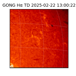 gong - 2025-02-22T13:00:22