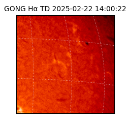 gong - 2025-02-22T14:00:22