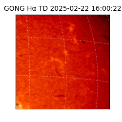 gong - 2025-02-22T16:00:22