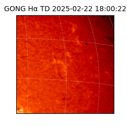 gong - 2025-02-22T18:00:22