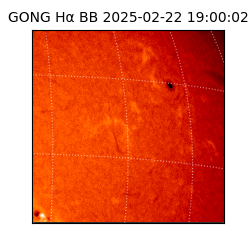 gong - 2025-02-22T19:00:02