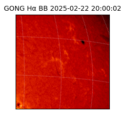 gong - 2025-02-22T20:00:02