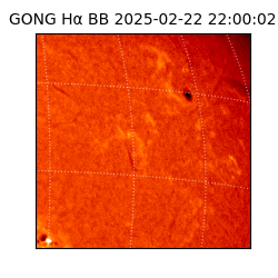 gong - 2025-02-22T22:00:02