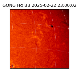 gong - 2025-02-22T23:00:02