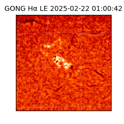 gong - 2025-02-22T01:00:42