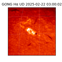 gong - 2025-02-22T03:00:02