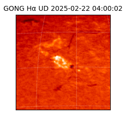 gong - 2025-02-22T04:00:02